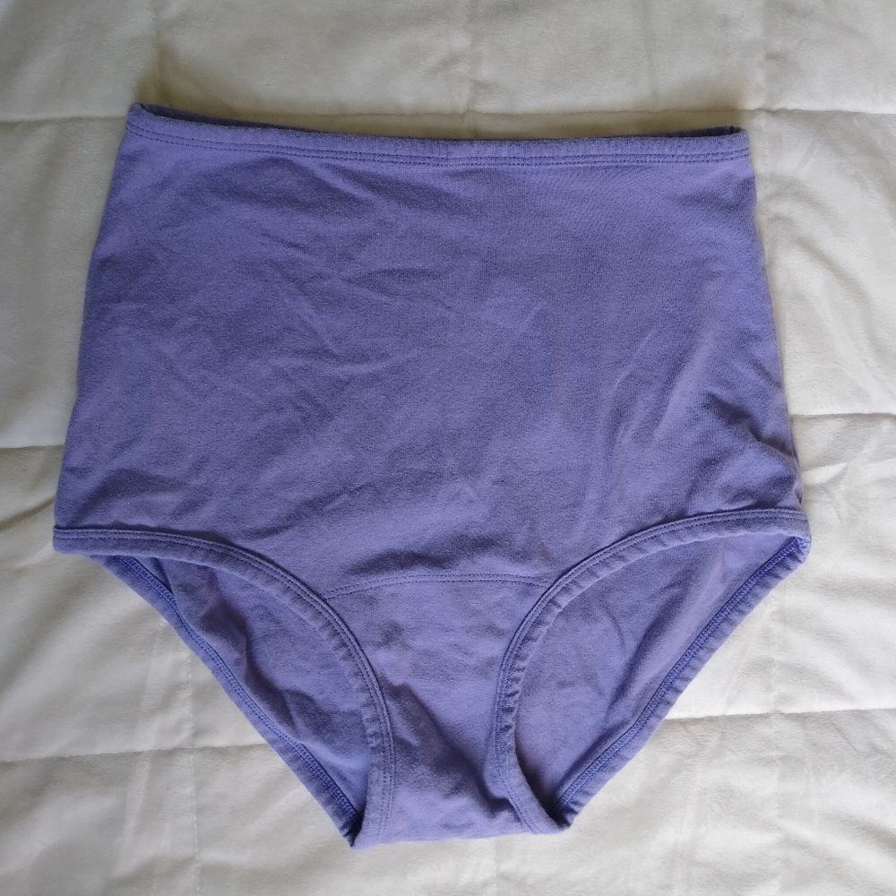 ARQ Periwinkle High Rise Undies